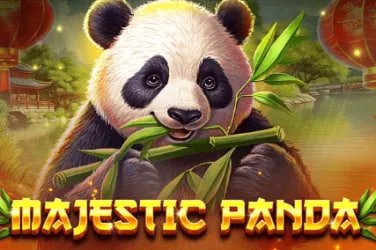 Antarmuka pemain islot dengan statistik real-time Antarmuka pemain islot dengan statistik real-time