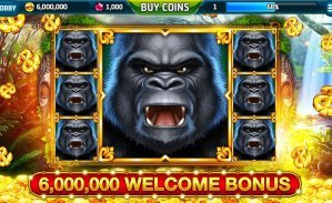 Studio live dealer Bonanza Gold dengan kamera HD